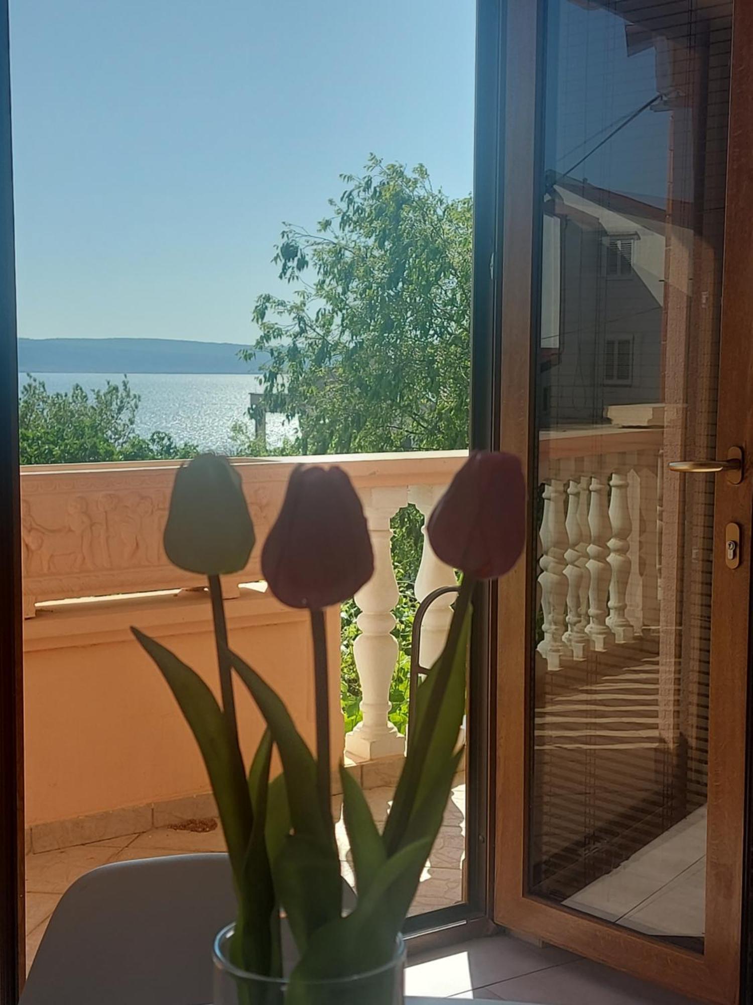 Apartment Ante And Dijana Стариград-Пакленица Экстерьер фото